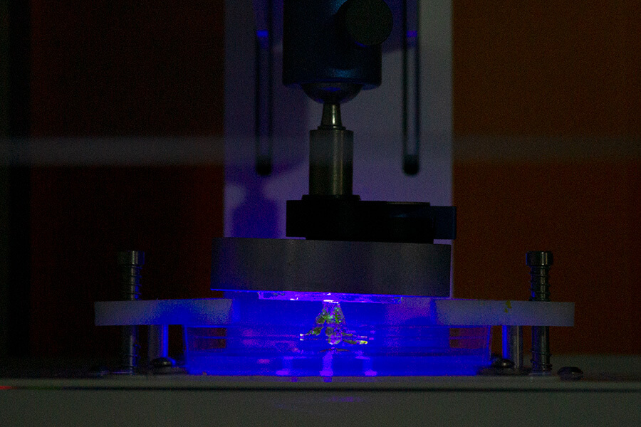 Almost complete, bioprinting Last Breaths on the LumenX
