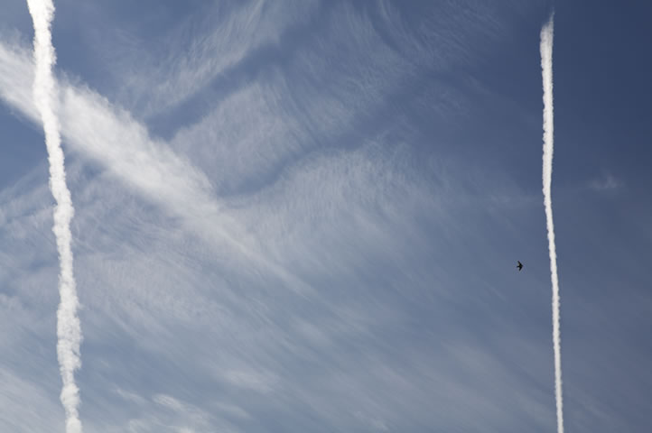 Ends of the Earth, sky image