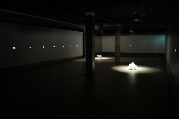 Ends of the Earth Installation view