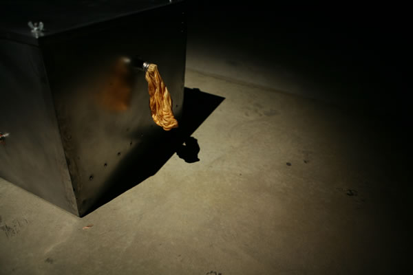 Ends of the Earth Installation detail