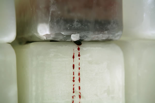 Ends of the Earth Installation detail