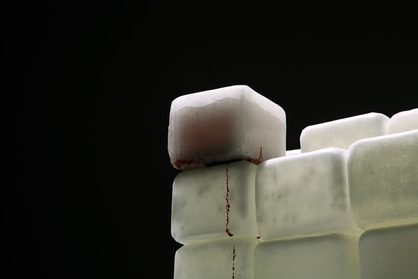 Ends of the Earth Installation detail