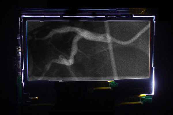 Ends of the Earth Installation detail