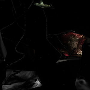 Bloom immersive 3D environment